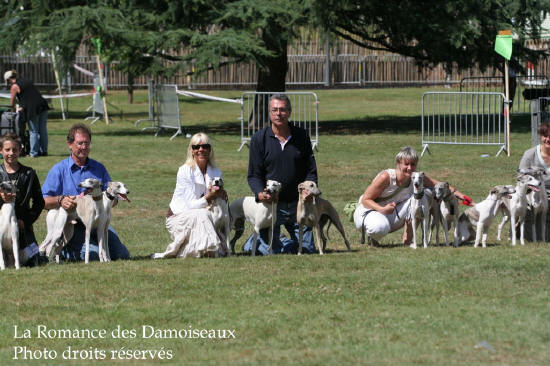 55 DAMOISEAUX  A L EXPOSITION DE BRIVE PHOTO 2008