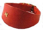 Collier large pour Whippet couleur rouge, noir, rose ou bleu ciel