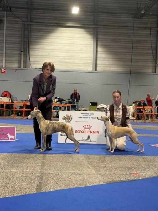 Nantes samedi Speciale de race 