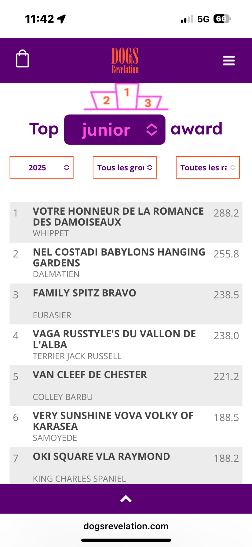 Notre whippet Meilleur junior toutes races confondues