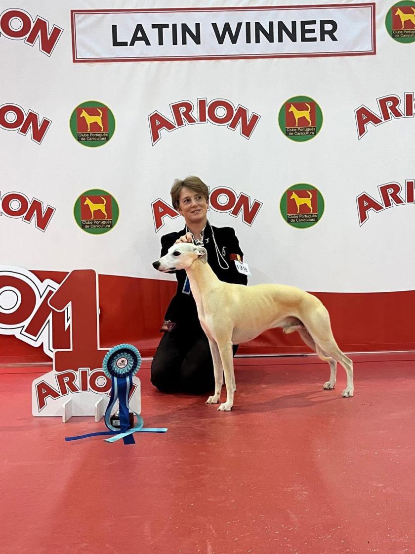 Santarem au Portugal 