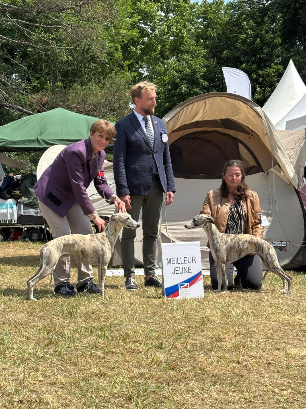 2 CACS et 3 CACIB au championnat de France