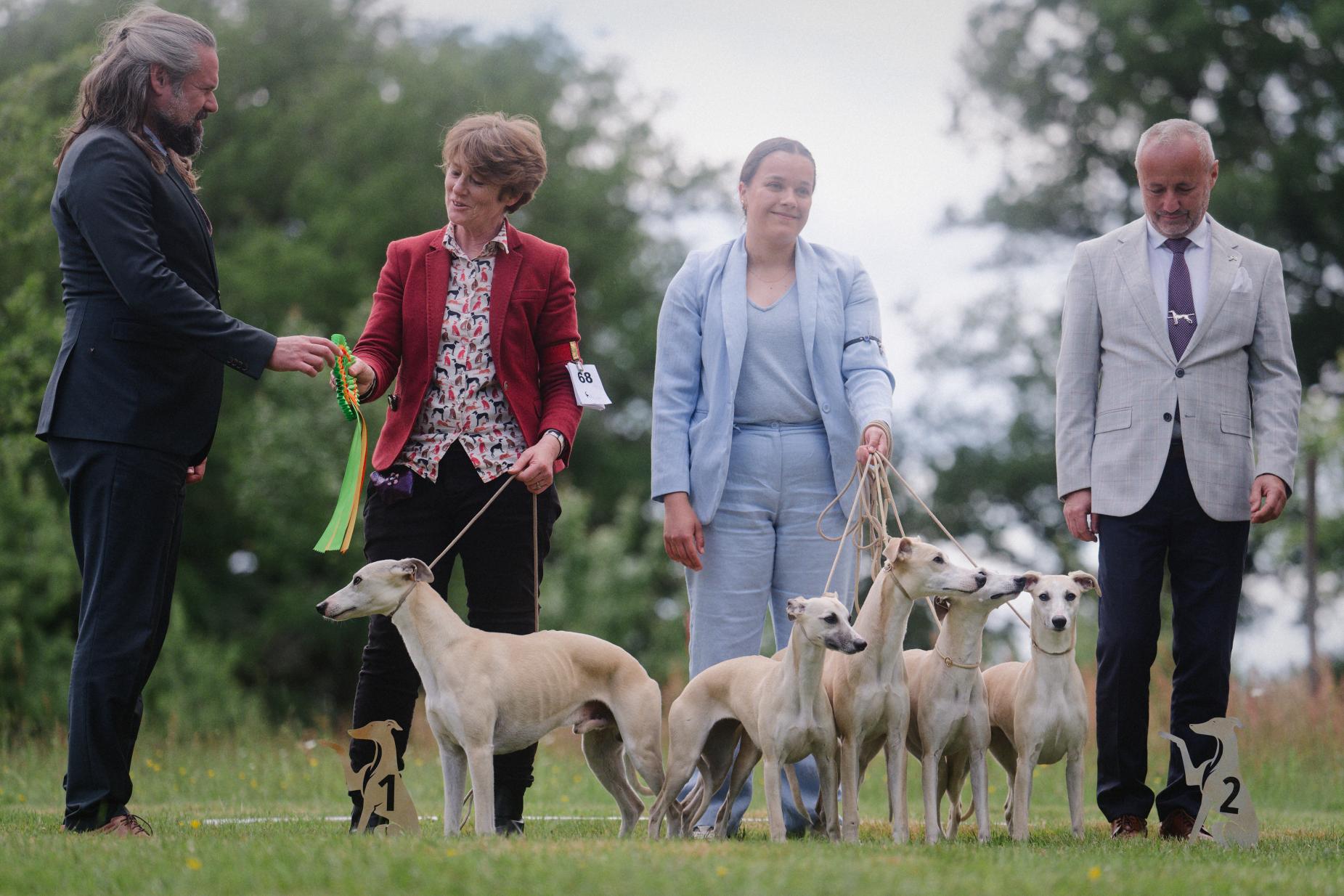 Régionale et Nationale d élevage  150 whippets 