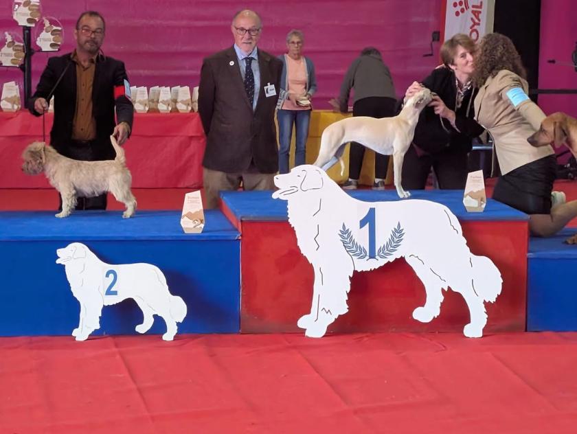 Tarbes Best in show Apothéose 